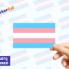 trans pride stickers