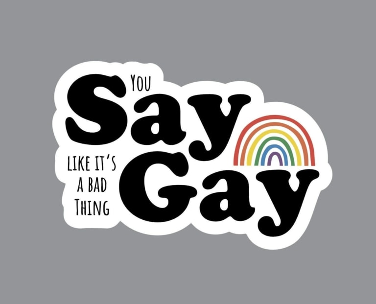 Queer Sticker | Sarcastic Say Gay Pride Sticker | “You Say Gay like it’s a bad thing” Gay Sticker from LGBTQ+ Owned Shop